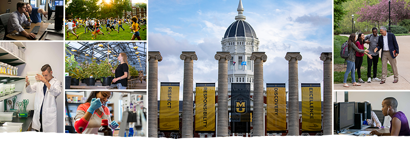 Collage of images of Mizzou students and faculty on campus